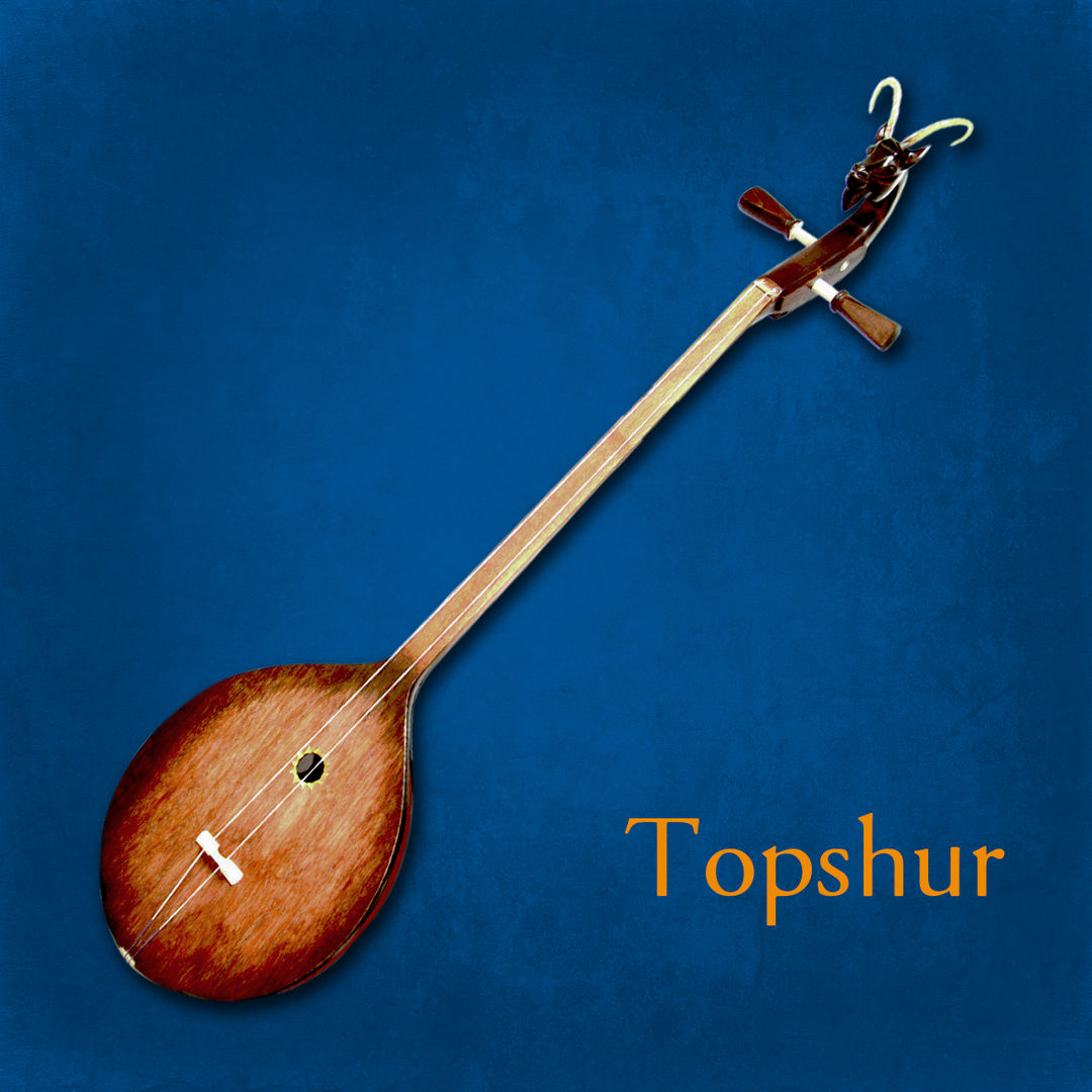 Topshur | Uniandes